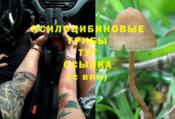 трава Пестово