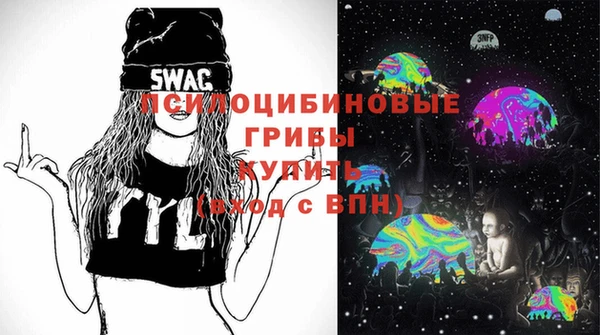 шишки Дубна