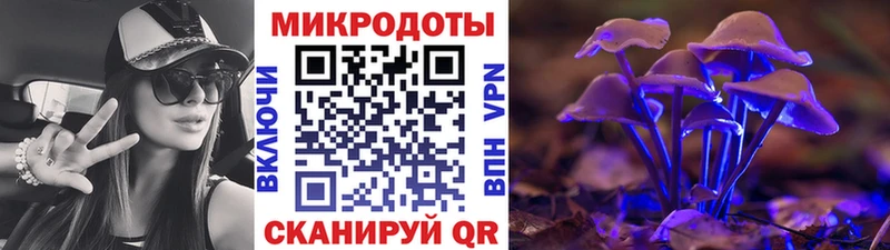 MEGA онион  Нововоронеж  Псилоцибиновые грибы мицелий 