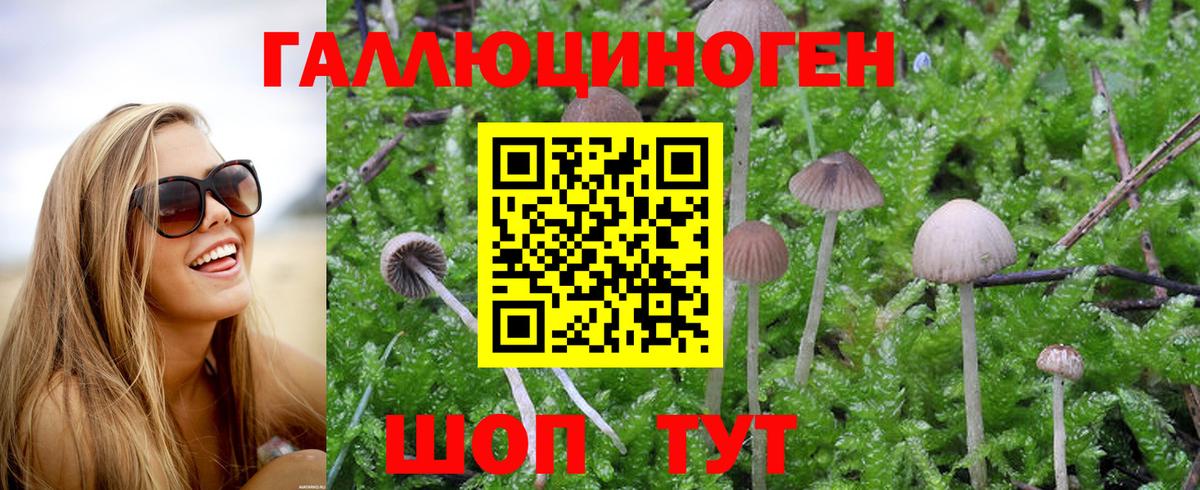 Галлюциногенные грибы Psilocybine cubensis  Псилоцибиновые грибы ЛСД  Вход с VPN  Нововоронеж 