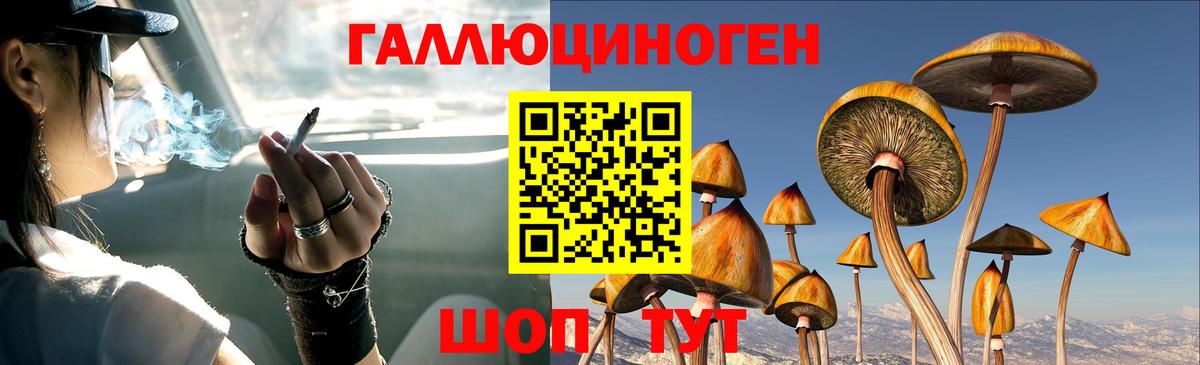 Псилоцибиновые грибы GOLDEN TEACHER Нововоронеж