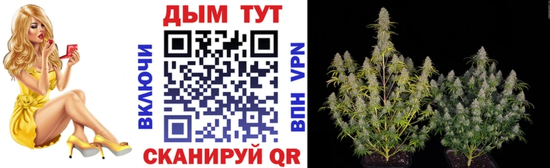 Конопля AK-47  Нововоронеж 
